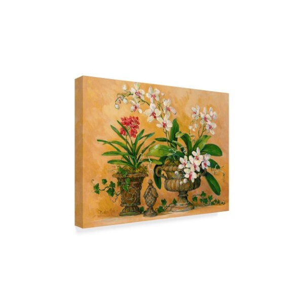 Barbara Mock 'An Orchid Renaissance' Canvas Art,35x47